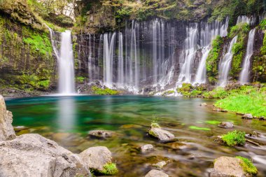 Shiraito Falls Japonya