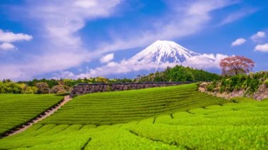 mt. fuji, Japonya