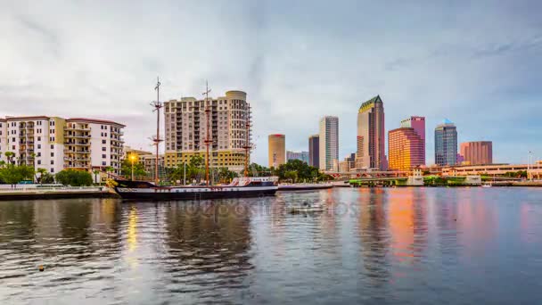 Tampa, Florida, USA — Stock Video