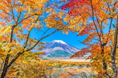 Mt. Fuji in Autumn clipart