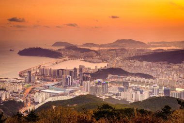 Busan South Korea Skyline clipart