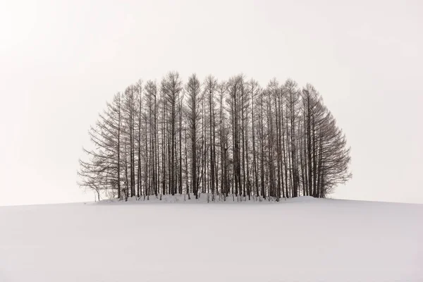 Biei, Hokkaido, Japan — Stockfoto