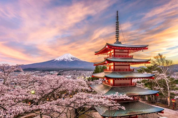 ฟูจิญี่ปุ่นในฤดูใบไม้ผลิ — ภาพถ่ายสต็อก