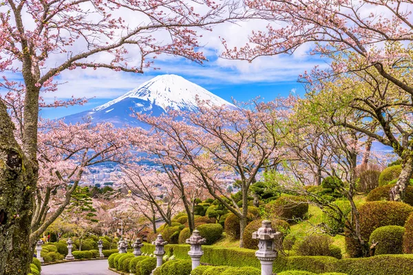 Fuji Mountain in het voorjaar — Stockfoto