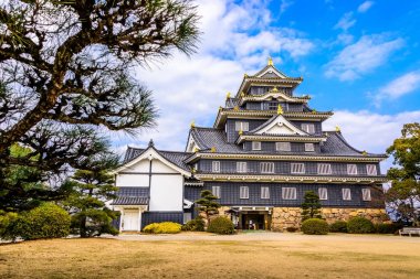 Okayama Japonya Castle