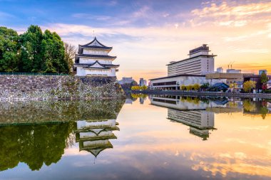 Nagoya Japonya Castle