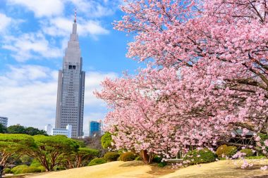 Tokyo, Japonya bahar