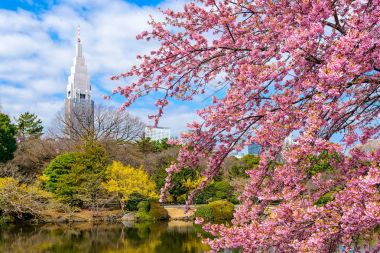 Tokyo, Japonya bahar