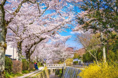 Kyoto, Japan in spring. clipart