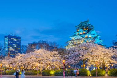 Osaka Kalesi Japonya