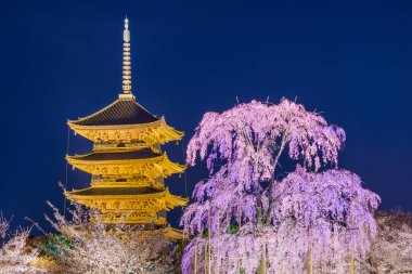 Kyoto Japonya bahar