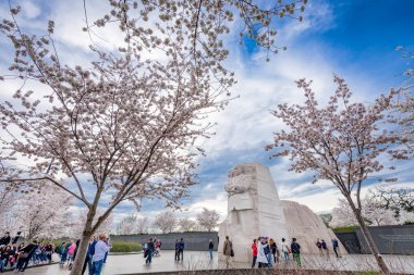 Washington - 9 Nisan 2015: Medeni haklar lideri Martin Luther King, Jr bahar mevsiminde Batı Potomac Park anıt.
