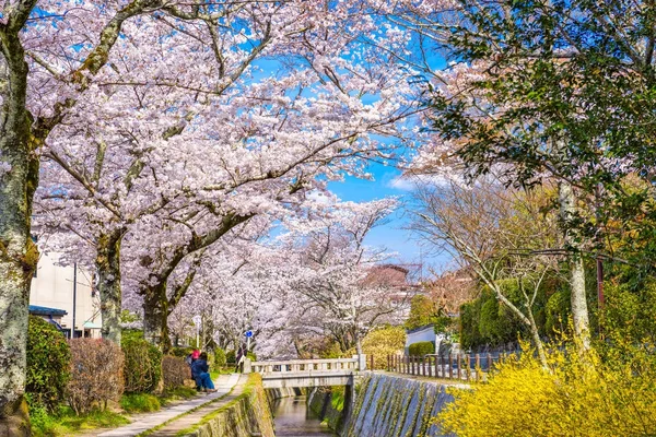 Kyoto, Japonya bahar. — Stok fotoğraf