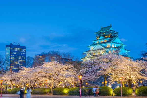 日本大阪城堡 — 图库照片