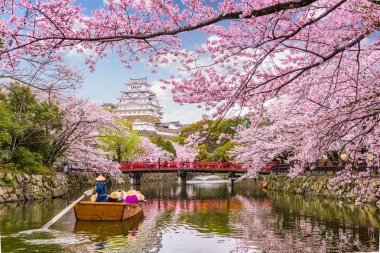 Himeji Kalesi Japonya