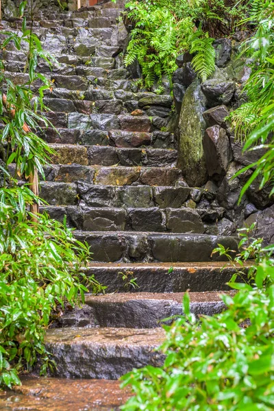 Влажные каменные ступени — стоковое фото