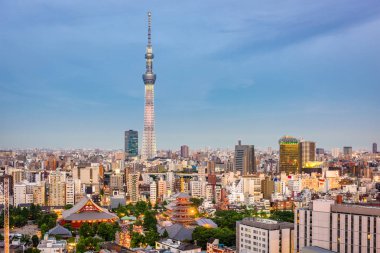 Tokyo, Japonya manzarası