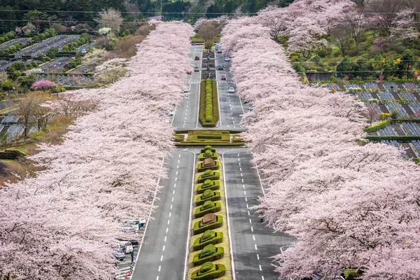 Shizuoka Japón Primavera — Foto de Stock