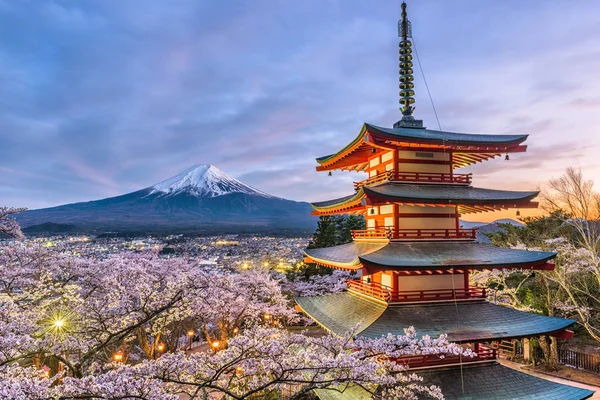 Mt. Fuji en pagode — Stockfoto