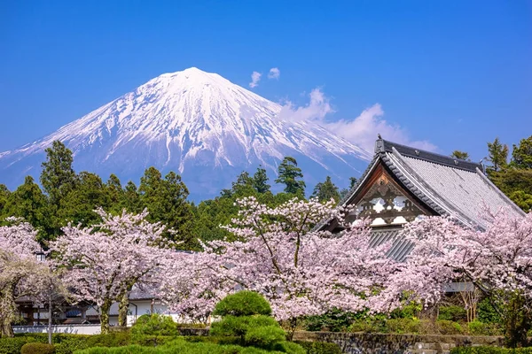 Spring in Japan — Stockfoto