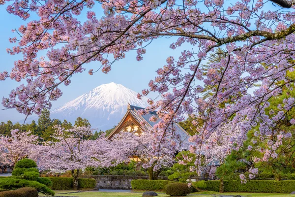 Primavera no Japão — Fotografia de Stock