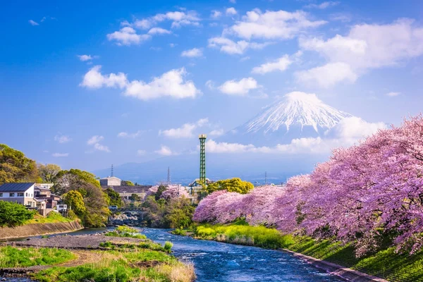 Mt. Fuji im Frühling — Stockfoto