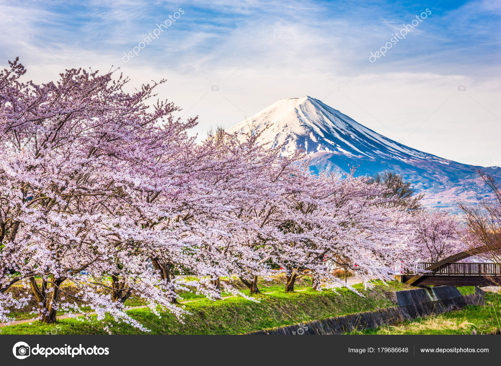 Mt. fuji Japan in Spring — Stock Photo © sepavone #179686648