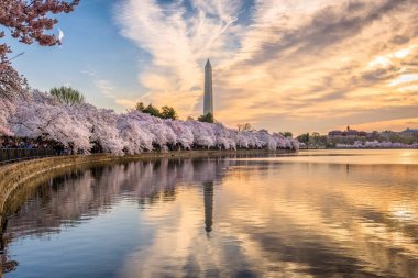Washington DC, USA in Spring clipart