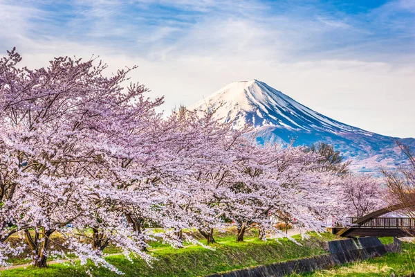 Mt. fuji Japón en primavera — Foto de Stock