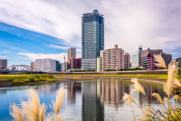 Kumamoto Japonya Şehir Cityscape Shirakawa Nehri Üzerinde — Stok fotoğraf