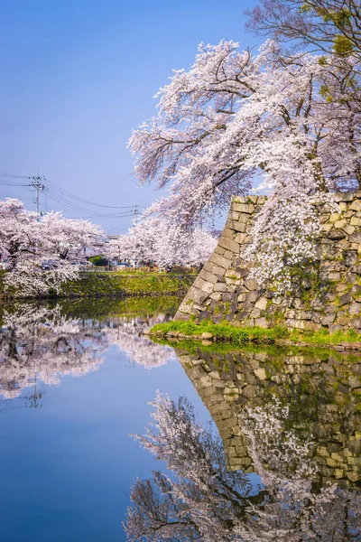 Zamek Hikone fosa — Zdjęcie stockowe