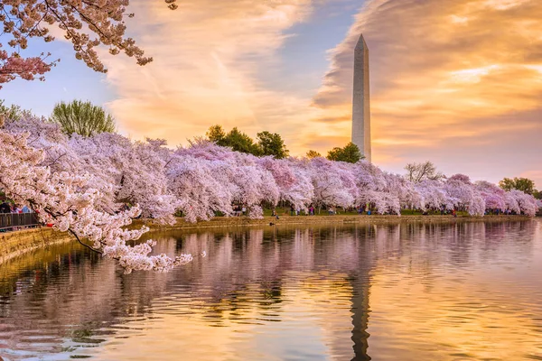 Вашингтон весной — стоковое фото