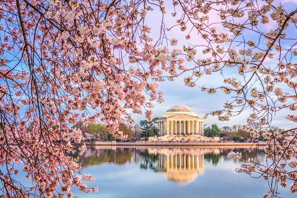Washington DC in primavera — Foto Stock