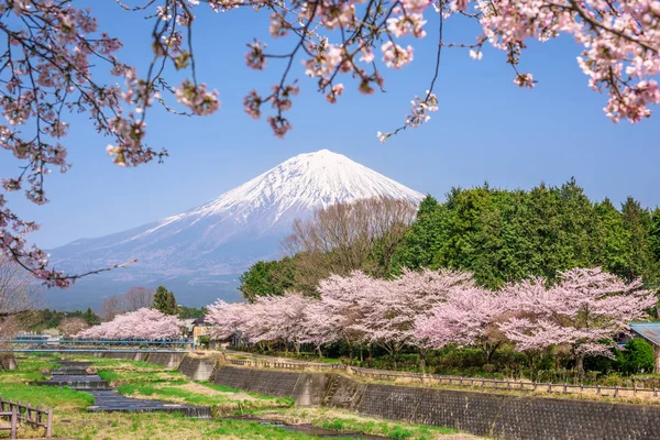 Mt. Fuji na Primavera — Fotografia de Stock