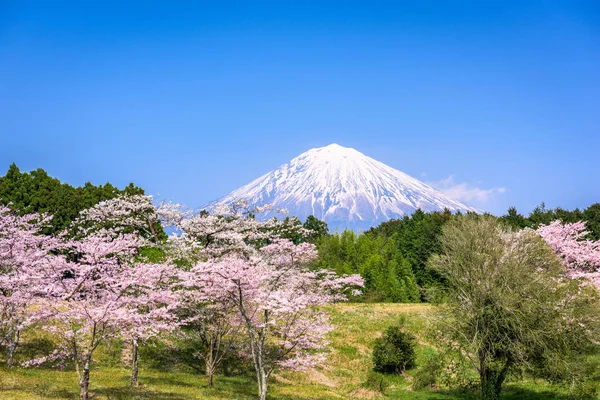 MT. Fuji na jaře — Stock fotografie