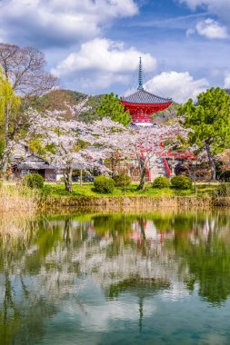 Bahar tapınakta Kyoto, Japonya