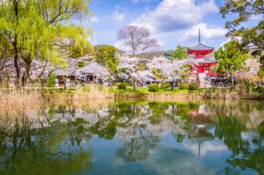 Bahar tapınakta Kyoto, Japonya