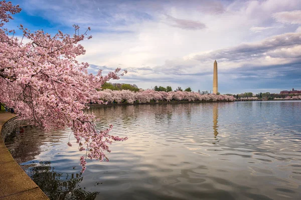 Washington DC in Spring — Stock Photo, Image