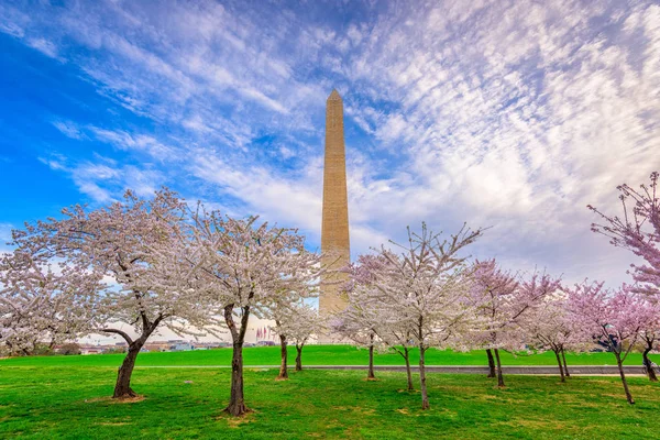 Washington Dc in het voorjaar van — Stockfoto