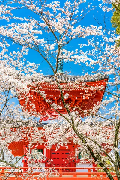 Kyoto, japanischer Tempel im Frühling — Stockfoto