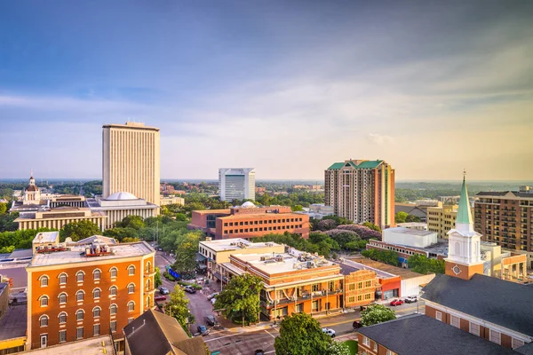 Skyline von Tallahassee, Florida, Usa — Stockfoto