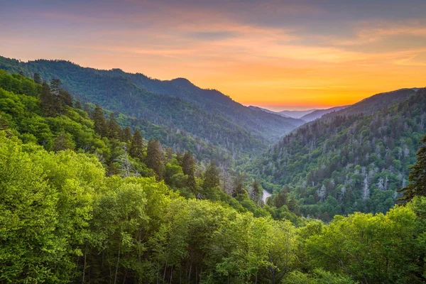 Newfound Gap Smoky Mountains — Stock Photo, Image