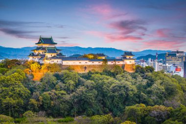 Wakayama City, Japonya manzarası