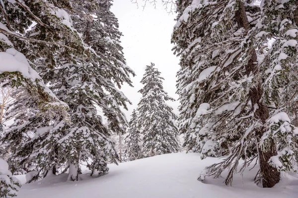 Góra. Kurodake Hokkaido, Japonia — Zdjęcie stockowe