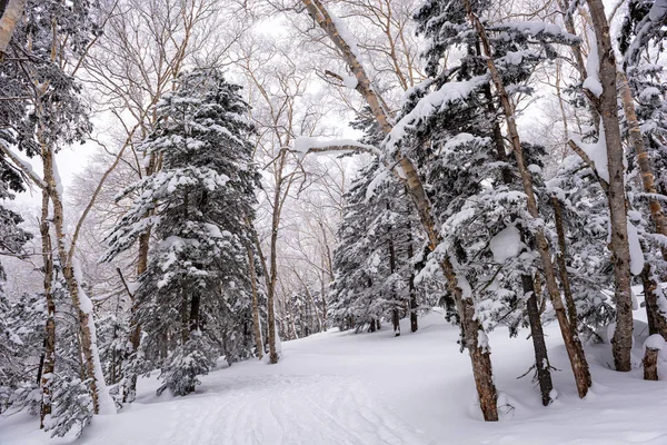 Góra. Kurodake Hokkaido, Japonia — Zdjęcie stockowe