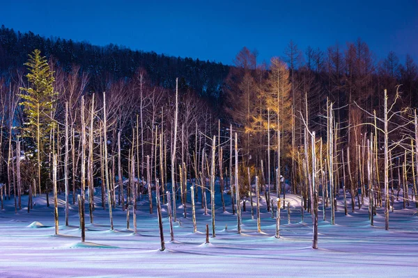Biei, Japonia na niebieski staw Aoike w zimie — Zdjęcie stockowe