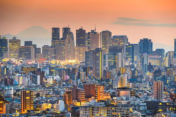 Токио, японский город с Синдзю-Уордом и горой Маунтин-Вью. Фудзи — стоковое фото