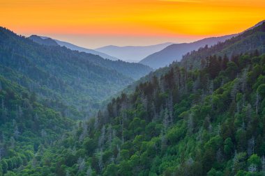 Newfound Gap in the Great Smoky Mountains clipart