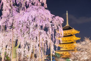 ji için pagoda ilkbaharda kyoto, Japonya