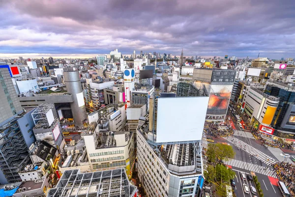 Tokió, Japán város városképe Shibuya Ward felett — Stock Fotó